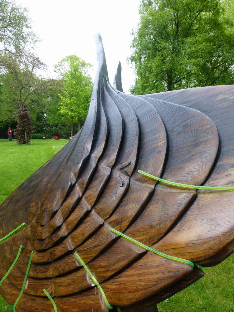 Schelpvorm: Egmond aan Zee